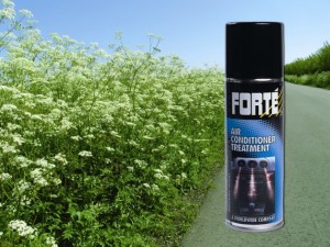 Forte's air conditioner treatment